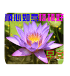 Flowers -3 lotus [Chinese version]（個別スタンプ：25）