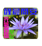 Flowers -3 lotus [Chinese version]（個別スタンプ：26）