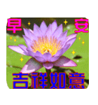 Flowers -3 lotus [Chinese version]（個別スタンプ：27）
