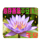 Flowers -3 lotus [Chinese version]（個別スタンプ：29）
