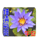 Flowers -3 lotus [Chinese version]（個別スタンプ：30）