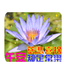 Flowers -3 lotus [Chinese version]（個別スタンプ：32）