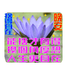 Flowers -3 lotus [Chinese version]（個別スタンプ：40）