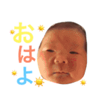 ぴっちゃんスタンプ（個別スタンプ：16）
