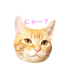 ねこのいるせいかつ（個別スタンプ：2）