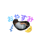 そうなのよう！その2（個別スタンプ：13）