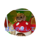 黒ごま＆そら（個別スタンプ：3）