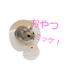 黒ごま＆そら（個別スタンプ：4）
