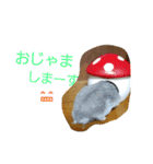 黒ごま＆そら（個別スタンプ：10）