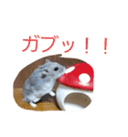 黒ごま＆そら（個別スタンプ：11）