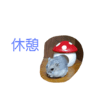 黒ごま＆そら（個別スタンプ：13）