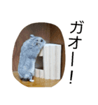 黒ごま＆そら（個別スタンプ：21）