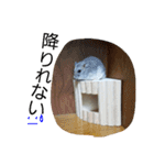 黒ごま＆そら（個別スタンプ：22）
