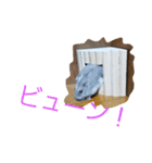 黒ごま＆そら（個別スタンプ：23）