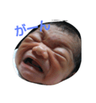 愛しのケンケン（個別スタンプ：7）