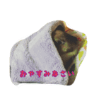 うさぎのキナコの日常（個別スタンプ：4）