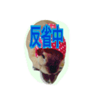 うさぎのキナコの日常（個別スタンプ：5）