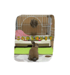 うさぎのキナコの日常（個別スタンプ：8）