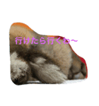 うさぎのキナコの日常（個別スタンプ：16）