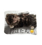 ぼく♀の日常①（個別スタンプ：3）