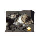 ぼく♀の日常①（個別スタンプ：4）