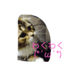 ぼく♀の日常①（個別スタンプ：6）