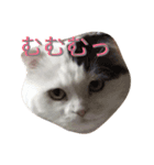 ルークたち 1（個別スタンプ：1）