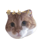 ルークたち 1（個別スタンプ：2）