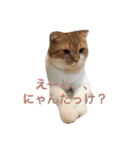 ルークたち 1（個別スタンプ：3）