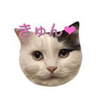 ルークたち 1（個別スタンプ：6）