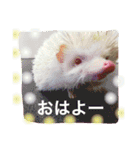 小雪ママ♡（個別スタンプ：1）