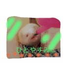 小雪ママ♡（個別スタンプ：6）