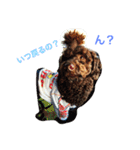 ザイオン スタンプ 24（個別スタンプ：9）