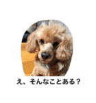 ころころこころ（個別スタンプ：5）