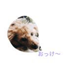 ころころこころ（個別スタンプ：10）