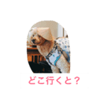 ころころこころ（個別スタンプ：12）