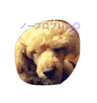 ころころこころ（個別スタンプ：14）