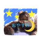 ひまりちゃんスタンプ（個別スタンプ：6）