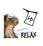 動物 すたんぷ（個別スタンプ：1）