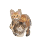あんこときなこ（個別スタンプ：1）