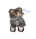 あんこときなこ（個別スタンプ：3）