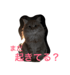 あんこときなこ（個別スタンプ：5）