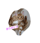 ゆずんず2（個別スタンプ：1）
