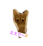 ゆずんず2（個別スタンプ：4）