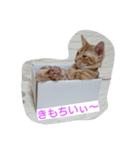 ゆずんず2（個別スタンプ：9）
