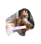 ゆずんず2（個別スタンプ：12）
