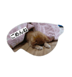 ゆずんず2（個別スタンプ：14）