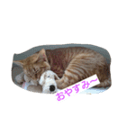 ゆずんず2（個別スタンプ：16）
