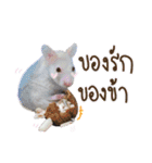 Hamster Jiffow's Home（個別スタンプ：3）