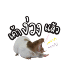 Hamster Jiffow's Home（個別スタンプ：6）
